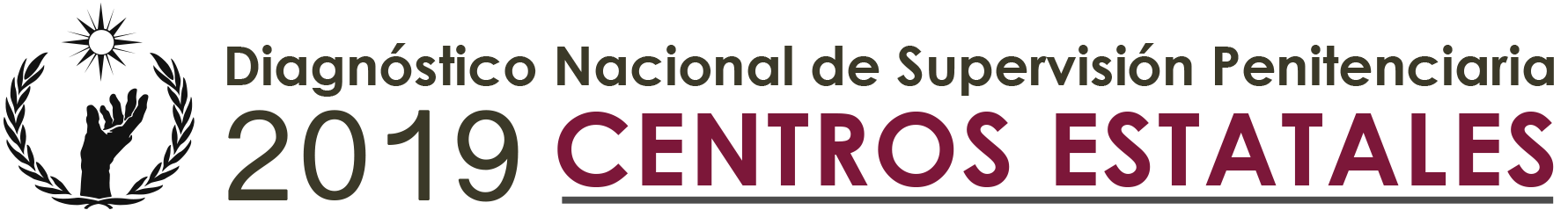 Diagn&oacute;stico Nacional de Supervisi&oacute;n Penitenciaria